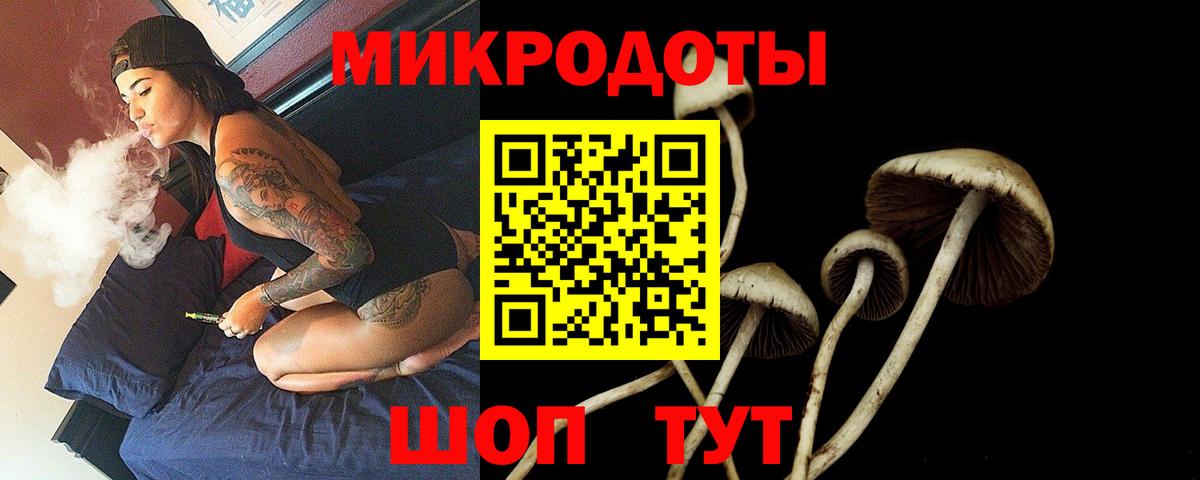 Псилоцибиновые грибы прущие грибы  Вход с VPN  Галлюциногенные грибы прущие грибы  Кириши 