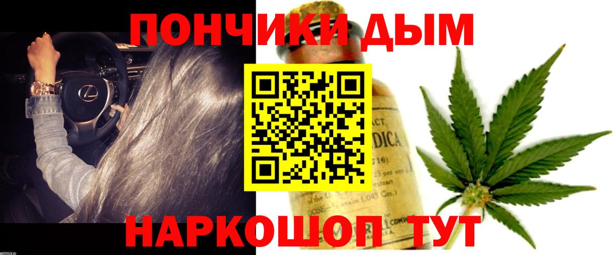 Конопля планчик Кириши